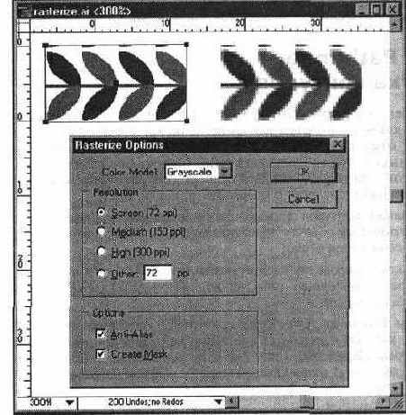   Rasterize Options